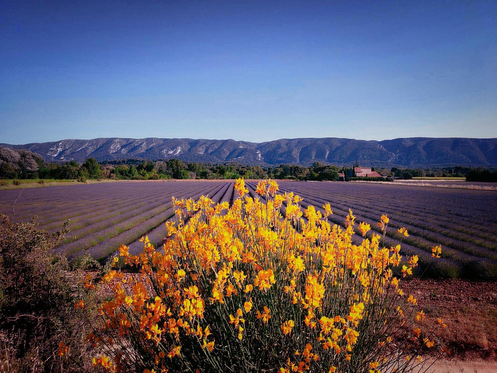 Roussillon en Isere Le Mas De Roussillon מראה חיצוני תמונה